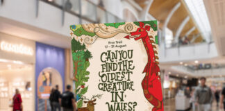 St David’s Cardiff to Host Free Storytelling Trail and Workshops with Welsh Author